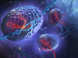 Biología – Nivel Medio