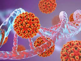 Biología – Nivel Superior